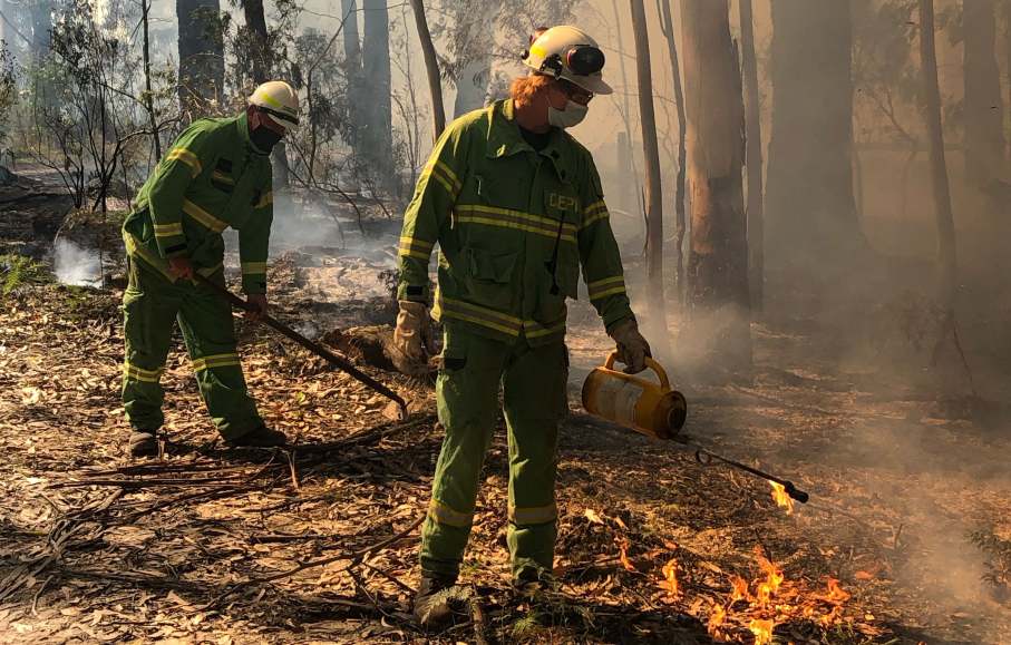 bushfire management